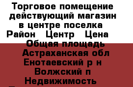 Торговое помещение (действующий магазин) в центре поселка › Район ­ Центр › Цена ­ 3 000 › Общая площадь ­ 300 - Астраханская обл., Енотаевский р-н, Волжский п. Недвижимость » Помещения продажа   